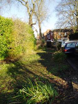 Dry river bed in the winter sunshine